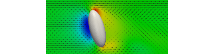 Resolved flow around an ellipsoidal particle