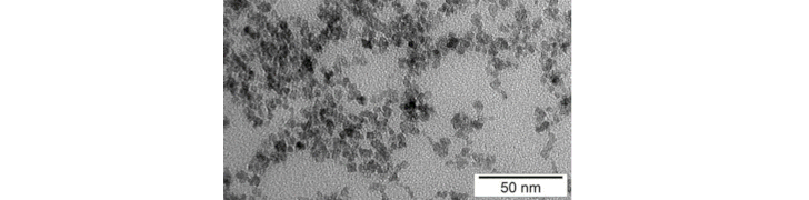 TEM image of superparamagnetic iron oxide nanoparticles