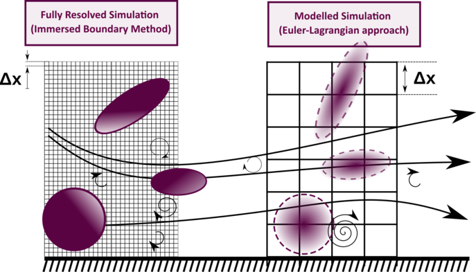 flly_resolved_simulation