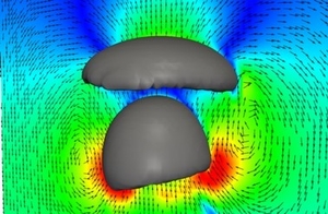 mulitphase_flow2