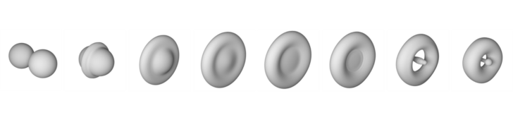 Coalescence of two colliding droplets